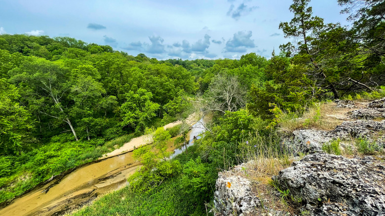 The Maquoketa River from The Backbone, Iowa.