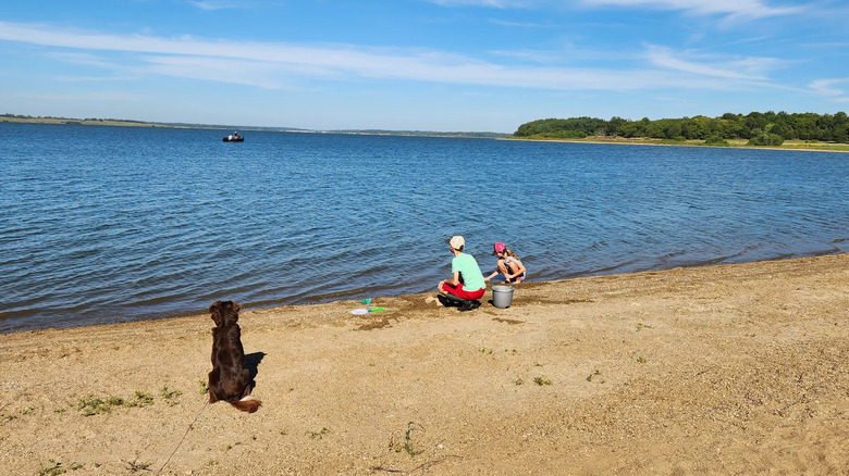 Children and dog playing on beach at Rathbun Lake