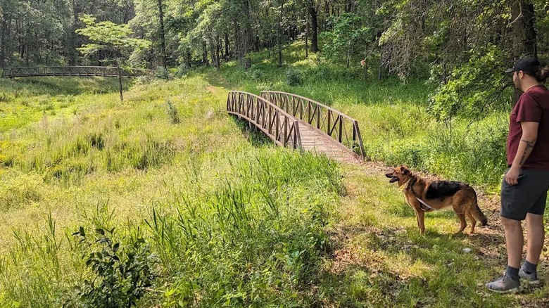 Man and dog on hiking trail in Honey Creek State Park