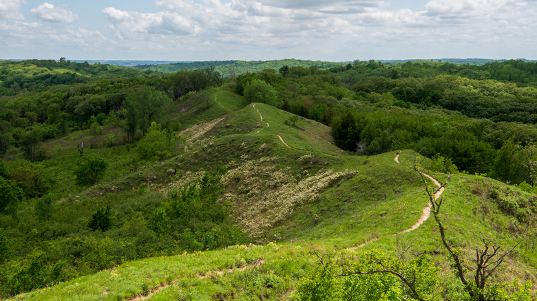 A view from the Loess Hills National Scenic Byway, Iowa