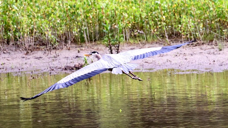 DeSoto National Wildlife Refuge
