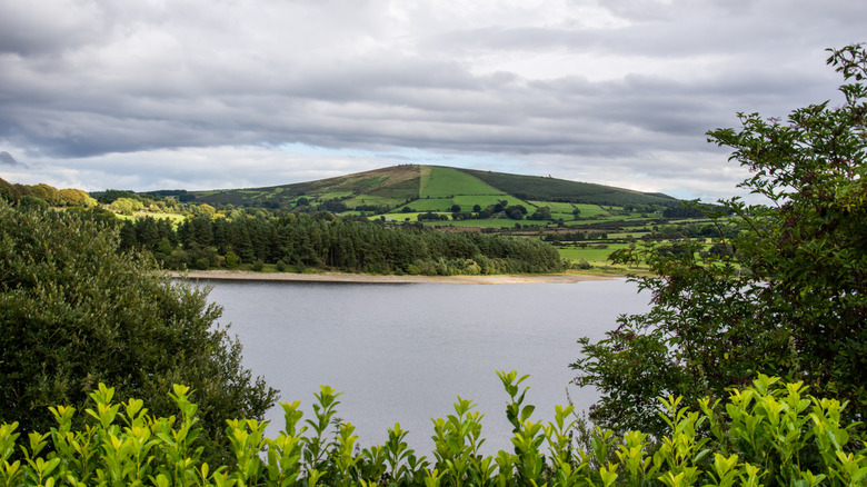 A view of the Poulaphouca Reservoir on a partly cloudy summer day in Ireland