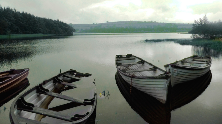 A view of small wood boats on Pollaphuca Reservoir on an overcast summer day in Ireland