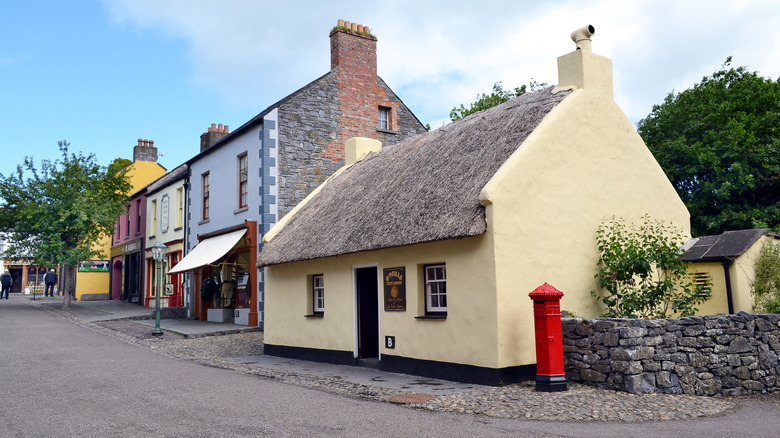 Historic houses and businesses lining Village Street in Bunratty Folk Park