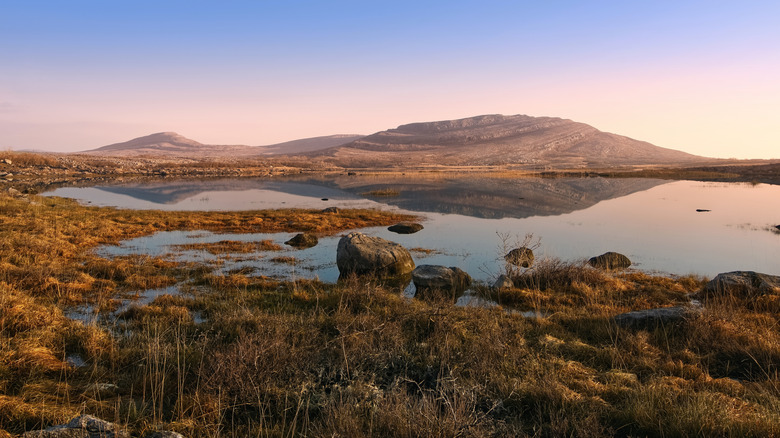 Views of The Burren National Park in Ireland against a pink evening sky