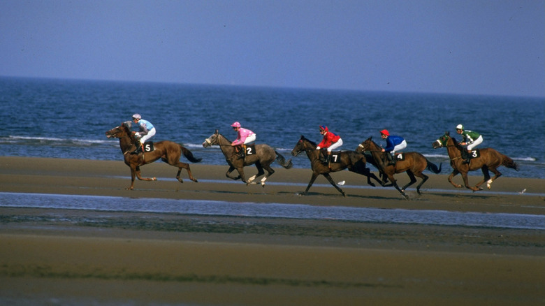 Laytown horse racing in Ireland