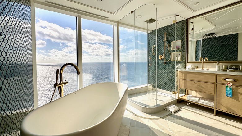 Cruise bathroom overlooking sea