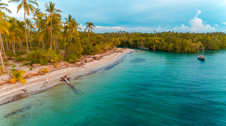 Beach on Mafia Island