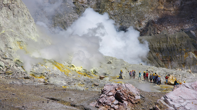 Tour at White Island 