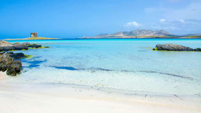 Bright blue clear water, white sand, rocks and stone tower at La Pelosa beach
