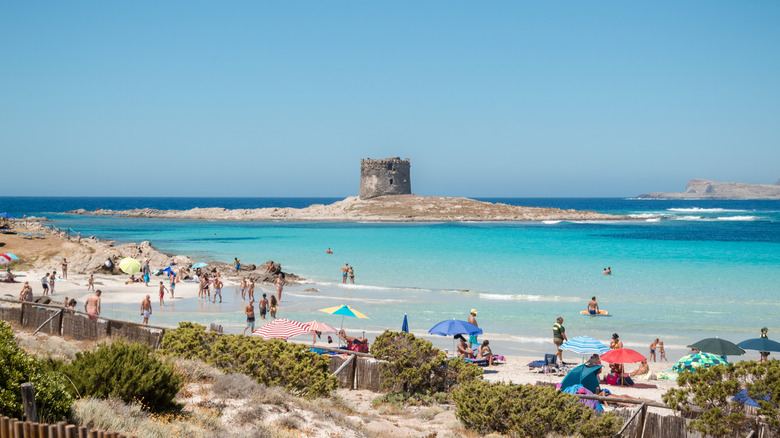 People walking and relaxing at La Pelosa beach, with historic tower on island beyond