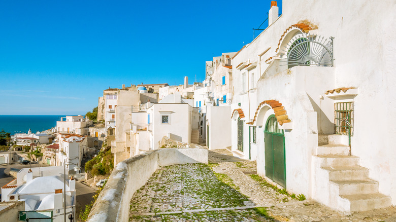 Whitewashed houses in Peschici