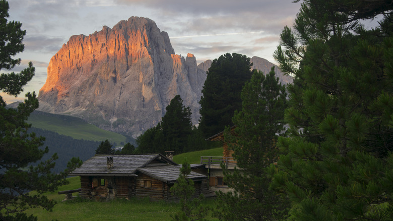 Traditional log cabin nestled between pine trees before a large mountain