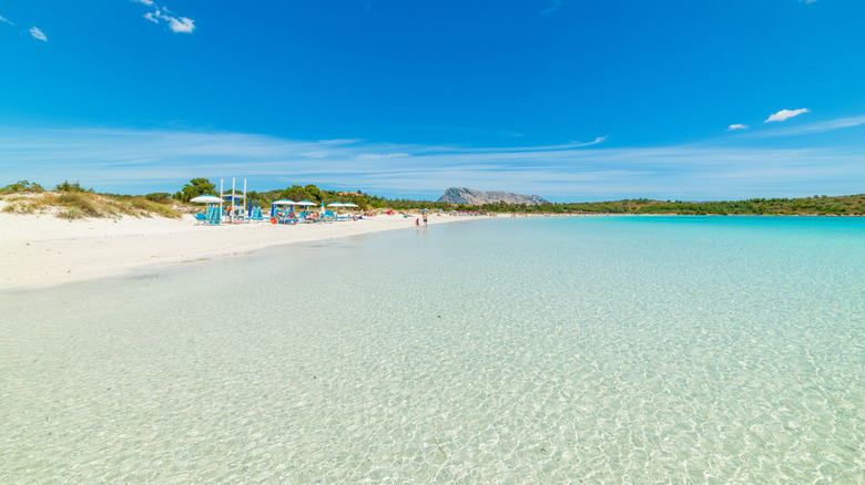 View of the crystalline waters of Cala Brandinchi on Sardinia