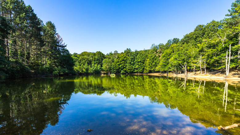 Lake at Umbra Forest, Gargano