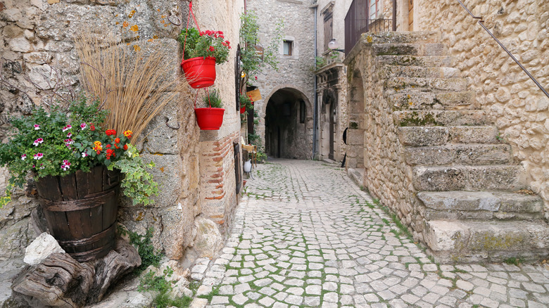 A cobblestone street leading through an arched passageway.