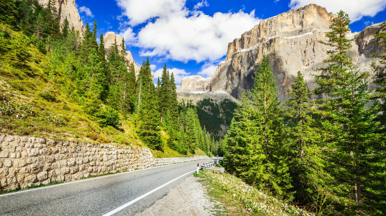 highway through evergreen forest and craggy mountains near Bolzano