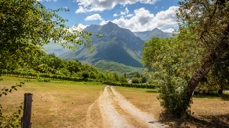 The green ridges of the Sibilini Mountains, Marche