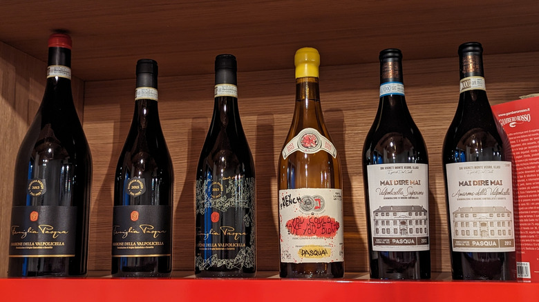 Lineup of wine bottles from Pasqua