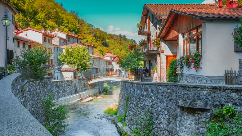 Stream cutting through the middle Fornovolasco in the Apuan Alps