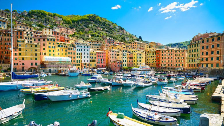 Marina harbor with small boats and colorful houses in Camogli, Liguria, Italy