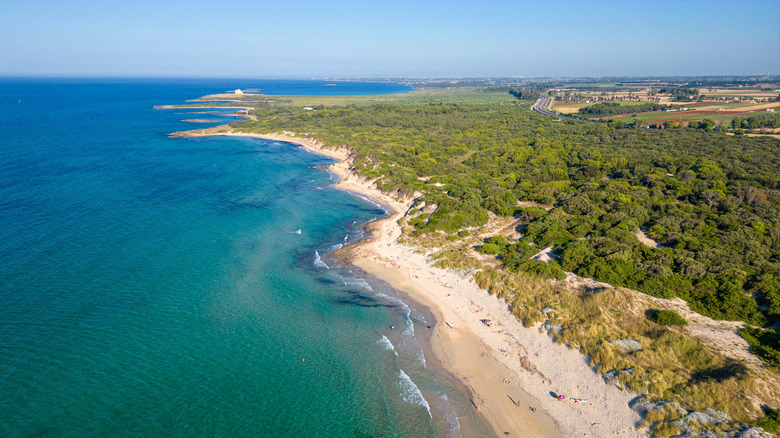Aerial view of golden sands at and sea at Torre Guaceto Nature Reserve