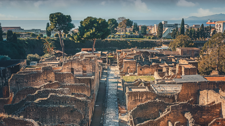 Aerial view of the ruins of Herculaneum, overlooking the southern Italian coast and the Mediterranean