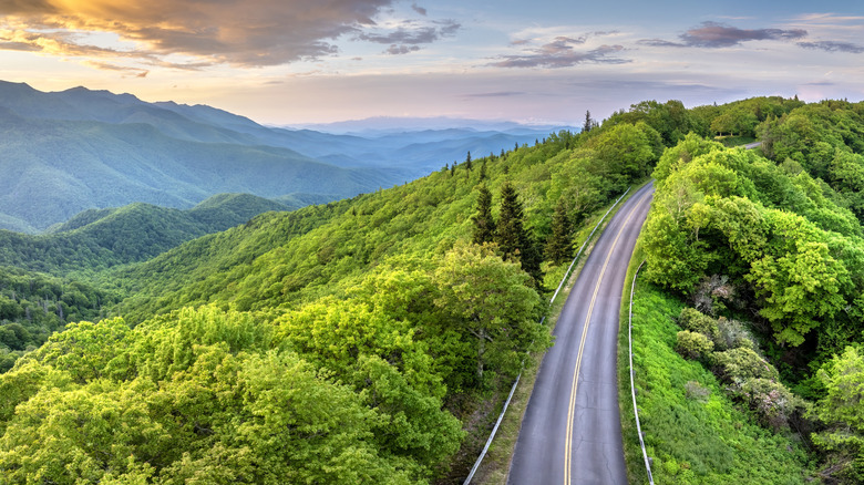 Road curving through the Great Smoky Mountains in Tennessee