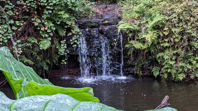 waterfall surrounded by greenery