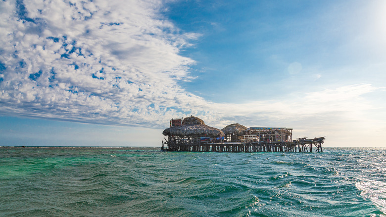 Pelican Bar at Treasure Beach