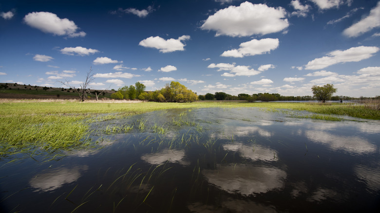 Clouds reflecting off a flooding James River