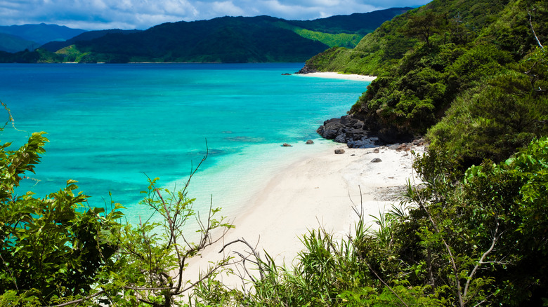 A white-sand beach leading to turquoise water and flanked by lush green hills in the Amami Islands, Japan