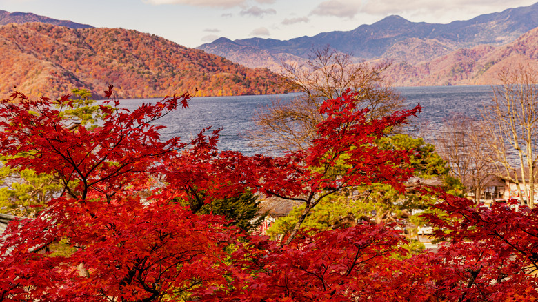 Lake Chuzenji, Nikko, Japan, in autumn