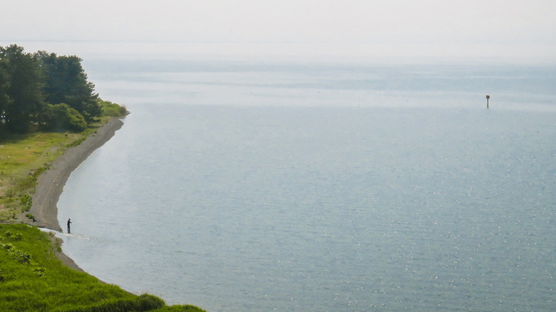 A man fishing from Lake Biwa's shoreline in the early morning