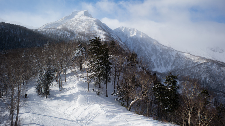 Mount Kurodake in Daisetsuzan National Park during the winter