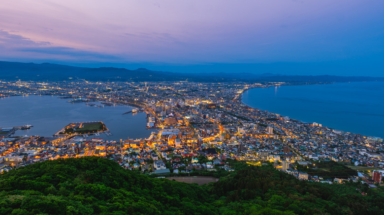 Evening view from Mount Hakodate's peak over the city lights below
