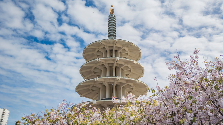 San Francisco's Japantown pagoda behind cherry blossoms