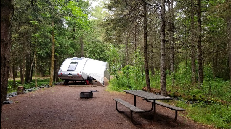 A quiet campsite in Jay Cooke State Park with a small camper, picnic table, and fire ring with tall trees all around