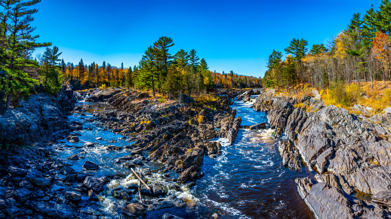 Trees with gorgeous fall colors next to the rocky St. Louis riverbank in Jay Cooke State Park