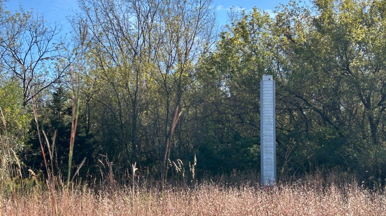 A tall white chimney built for chimney swifts along the tree line at Jelke Creek Bird Sanctuary in Illinois
