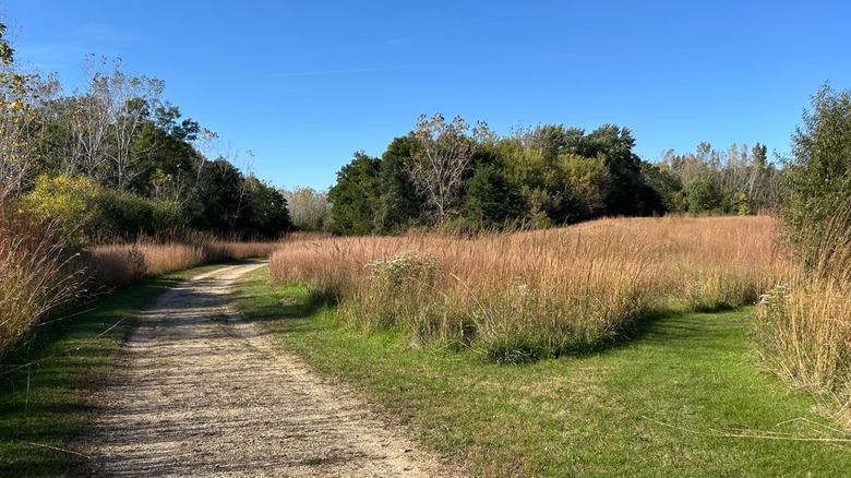 A gravel trail next to a mown grass path at Jelke Creek Bird Sanctuary in Illinois