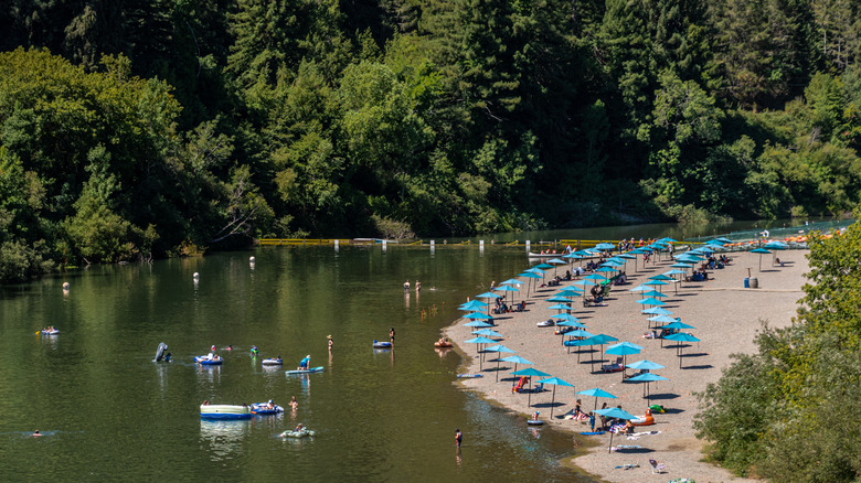 Sunbathers relax beneath sun umbrellas on Johnson's Beach, as others swim and paddleboard in a river