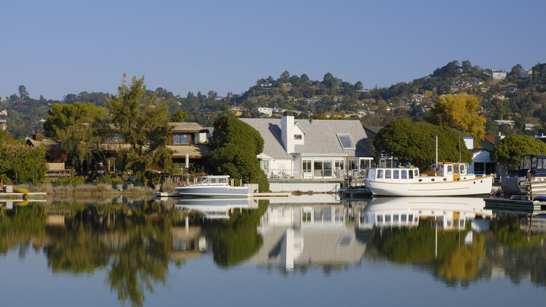 Corte Madera Creek in Larkspur, California