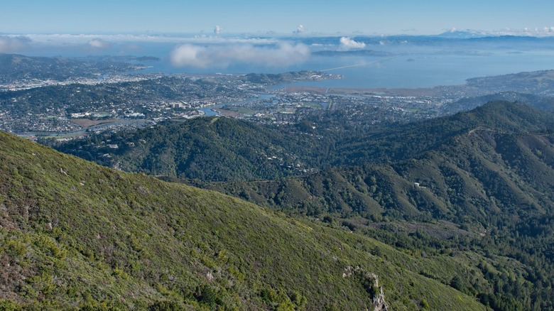 Distant view of Corte Madera Creek