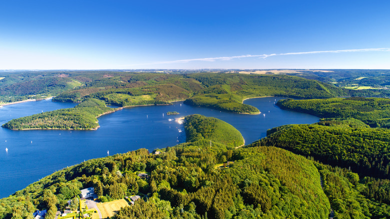 Aerial view of a calm lake nestled among rolling, forested hills in the Eifel National Park, Germany