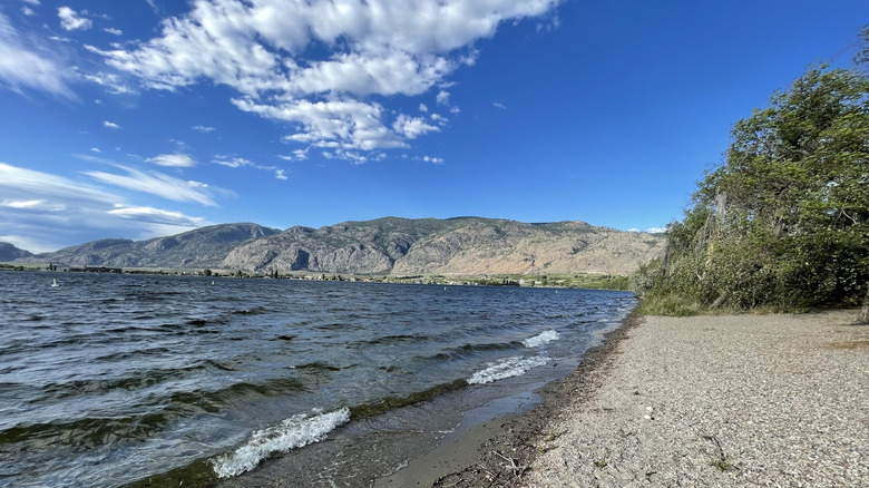 A pebbly and sandy beach area at Osoyoos Lake in sẁiẁs Provincial Park, British Columbia
