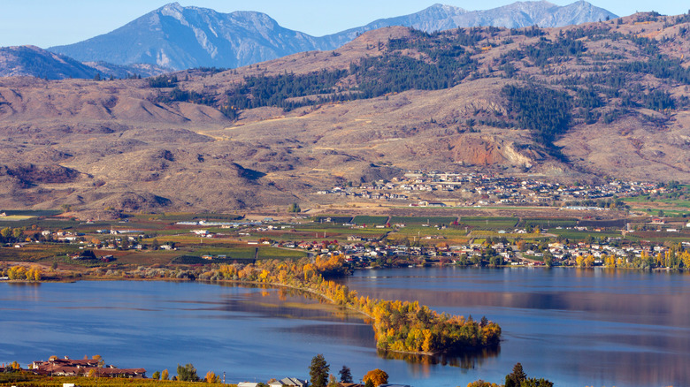 Fall trees at sẁiẁs Provincial Park jutting out into Osoyoos Lake, with mountains behind