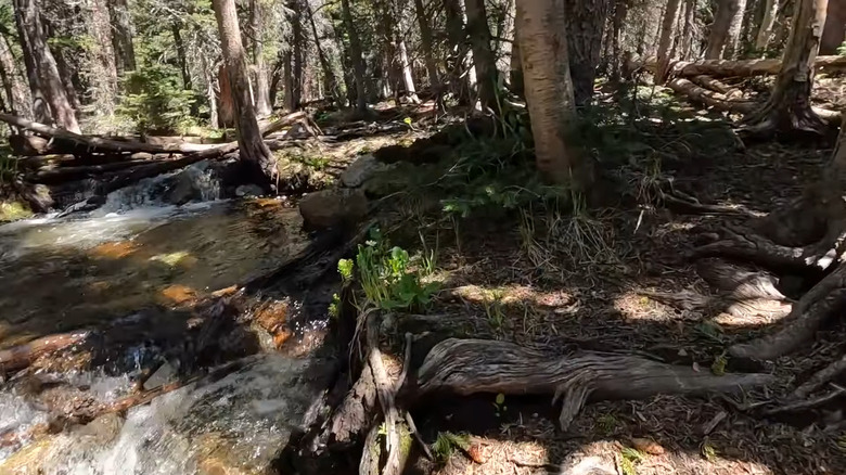 A creek crossing on the Rainbow Lakes Trail in Colorado