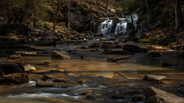 One of Cochran Mill Park's waterfalls in a forested ravine
