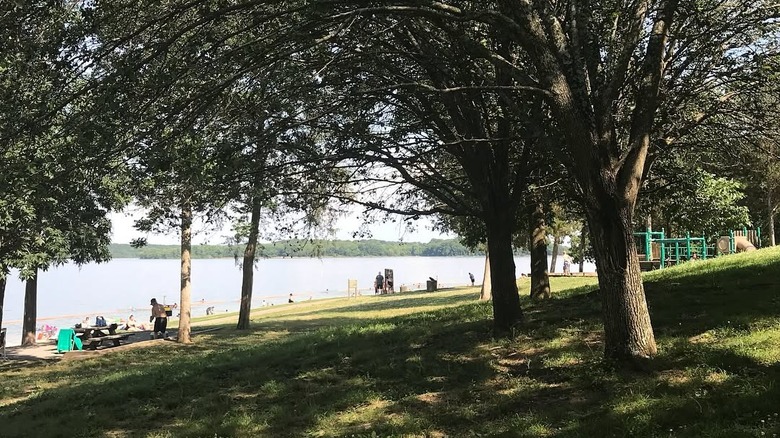 Shady grassy area with large trees overlooking a lake and beach at Anderson Road Recreation Area in Nashville, Tennessee